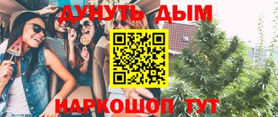 Альфа ПВП Можга