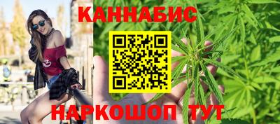 Альфа ПВП Можга