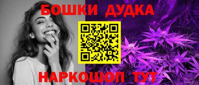 Альфа ПВП Можга