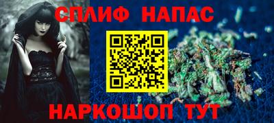 Альфа ПВП Можга