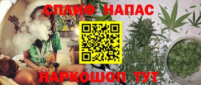 амф Моздок