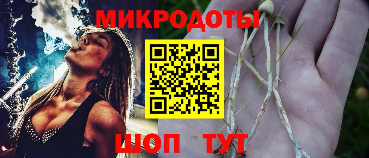 Псилоцибиновые грибы Psilocybine cubensis Гурьевск