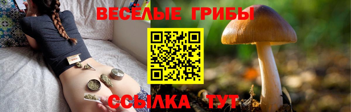 Гурьевск  Галлюциногенные грибы мицелий  купить наркотик  Вход с VPN 